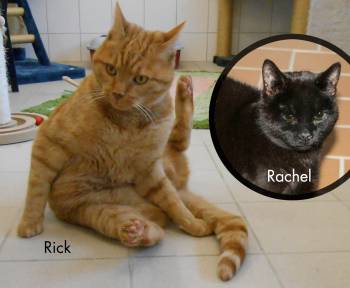 Rachel +Rick (reserviert)